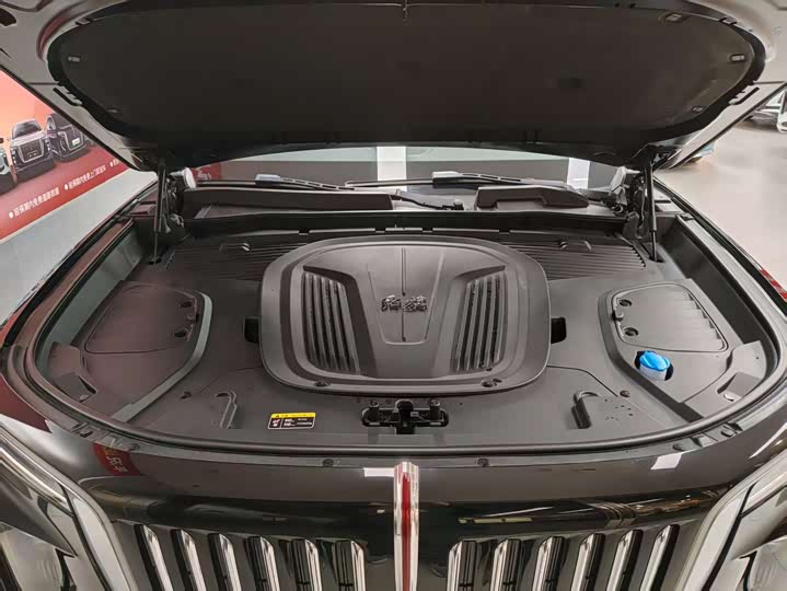 Фото 7 - Hongqi E-HS9