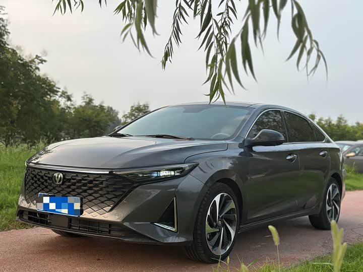 Фото 3 - Changan Raeton Plus