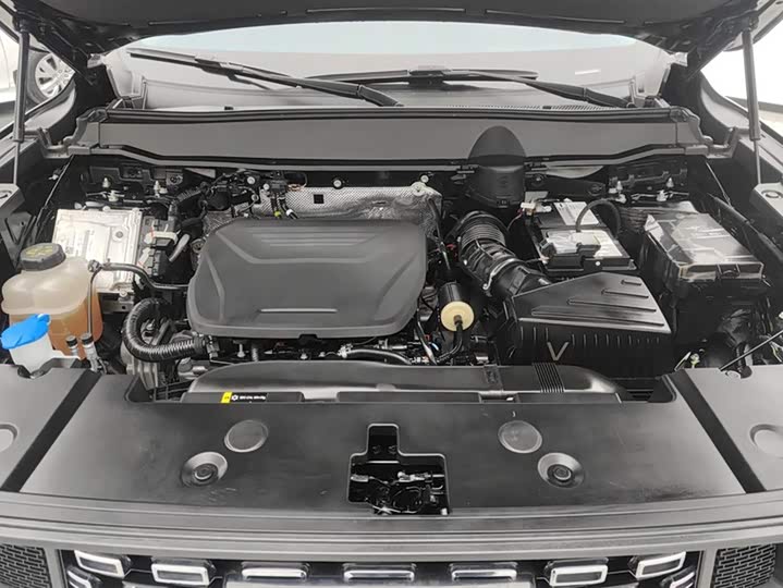 Фото 10 - Haval H-Dog