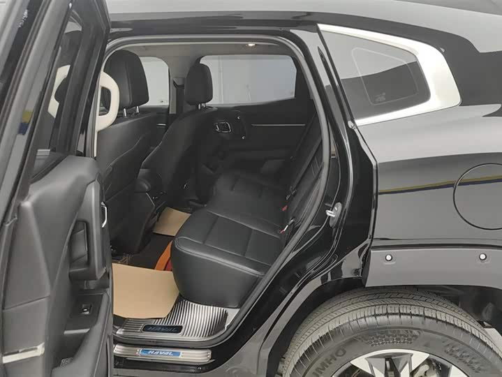 Фото 11 - Haval H-Dog