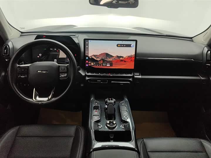 Фото 12 - Haval H-Dog