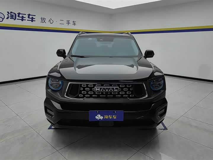 Фото 2 - Haval H-Dog