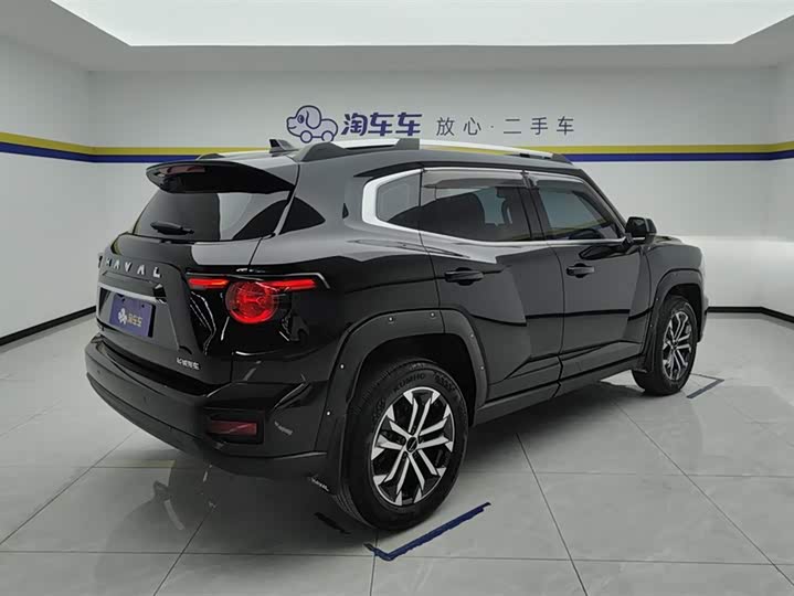 Фото 3 - Haval H-Dog