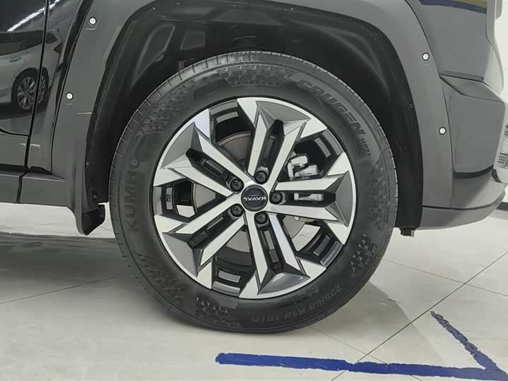 Фото 6 - Haval H-Dog