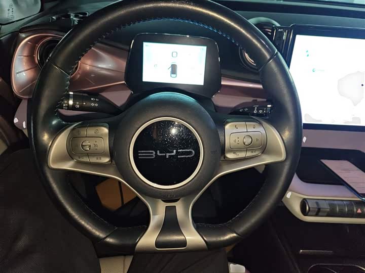 Фото 11 - BYD Dolphin