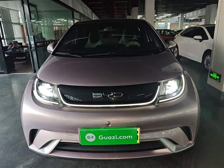 Фото 3 - BYD Dolphin