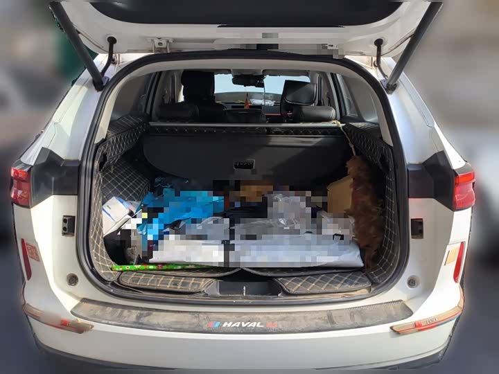 Фото 10 - Haval H6