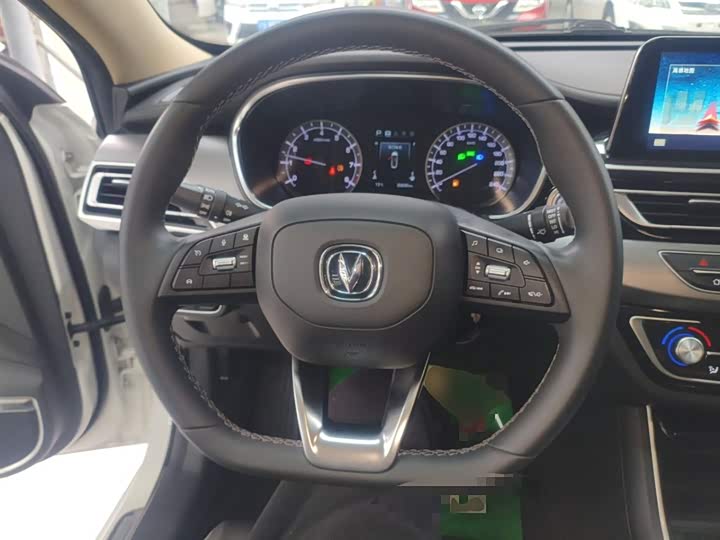 Фото 11 - Changan Raeton CC