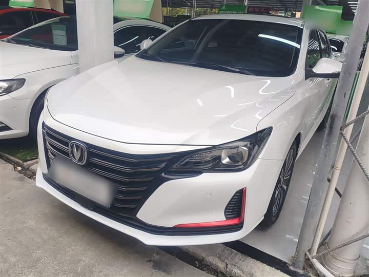 Фото 2 - Changan Raeton CC