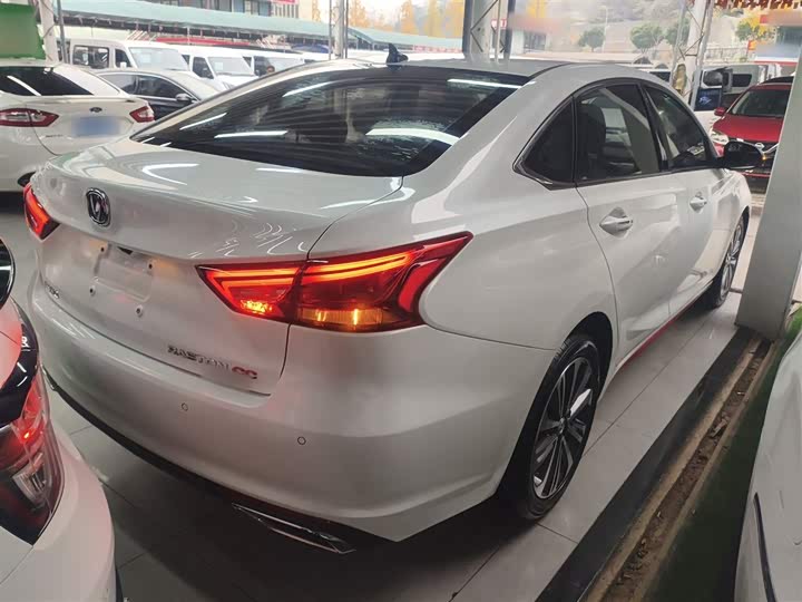 Фото 7 - Changan Raeton CC