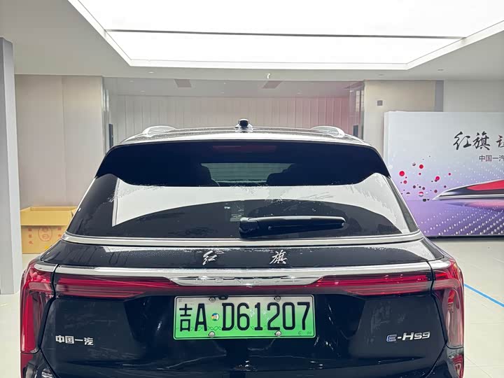 Фото 2 - Hongqi E-HS9