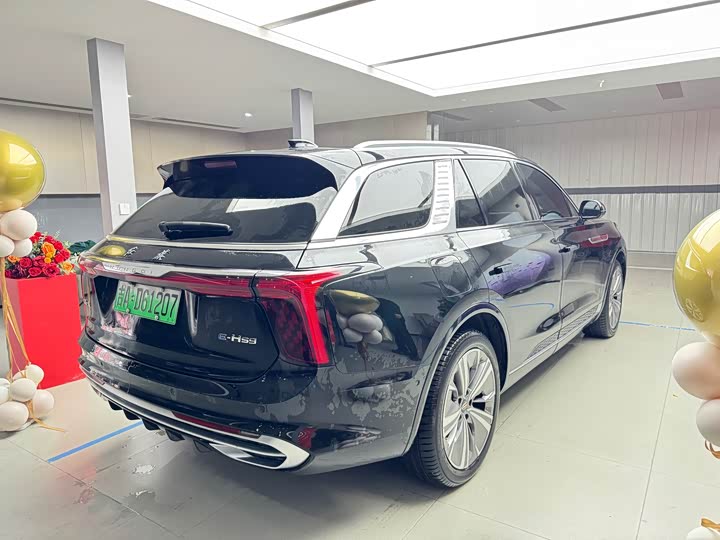 Фото 3 - Hongqi E-HS9