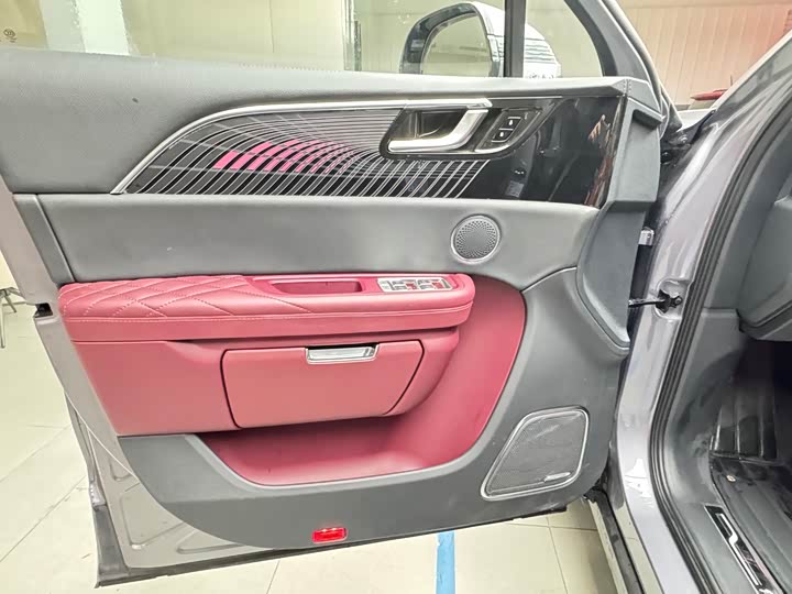 Фото 6 - Hongqi E-HS9