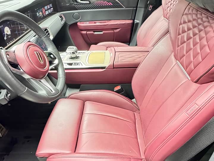 Фото 8 - Hongqi E-HS9