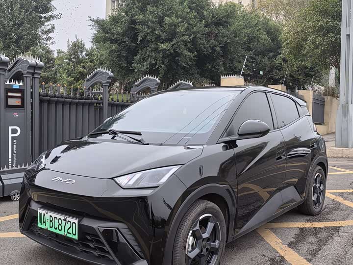 Фото 1 - BYD Seagull