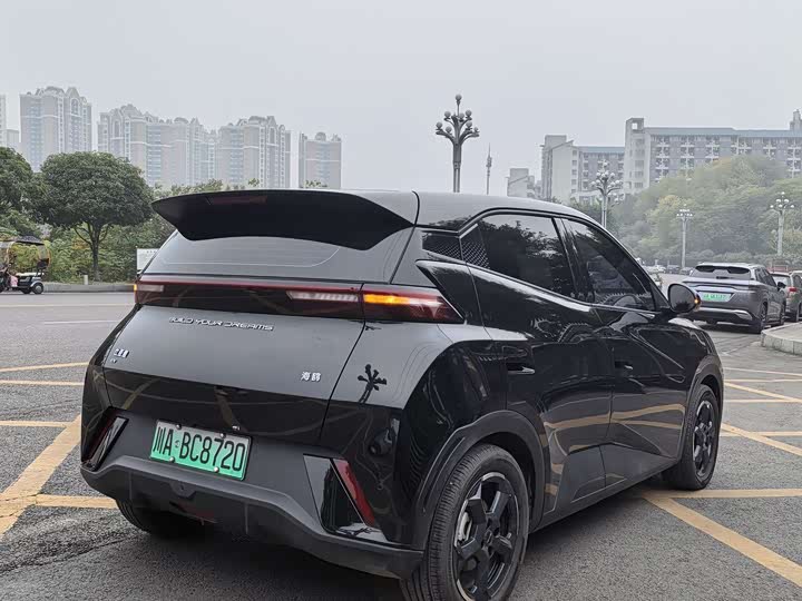 Фото 15 - BYD Seagull