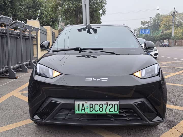 Фото 2 - BYD Seagull