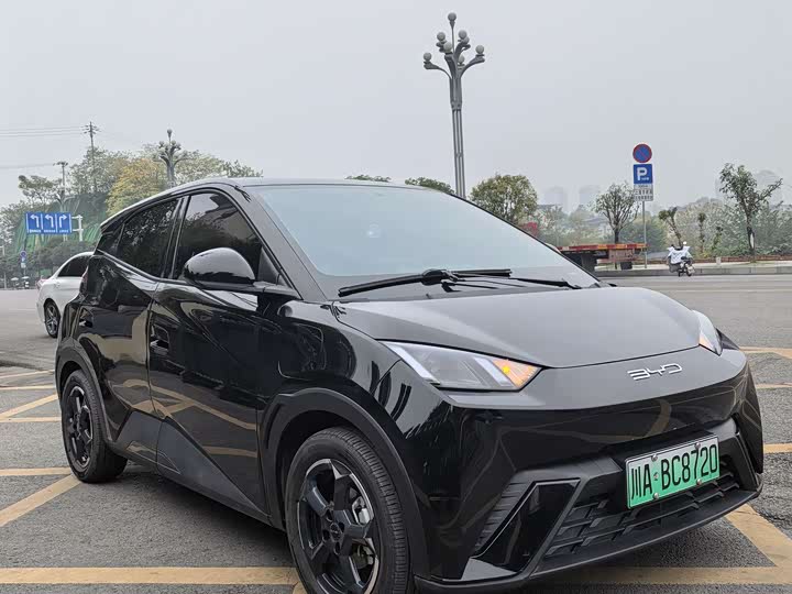 Фото 3 - BYD Seagull