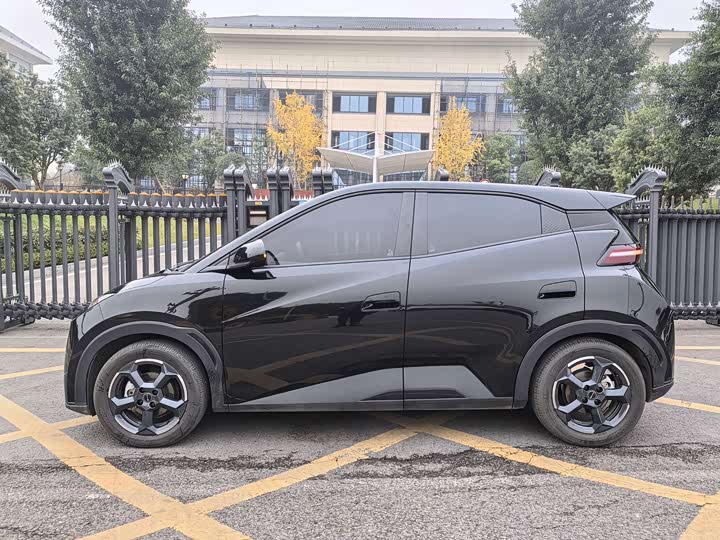 Фото 4 - BYD Seagull