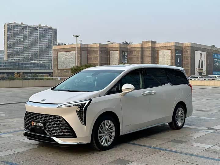 Фото 1 - Buick GL8 Century