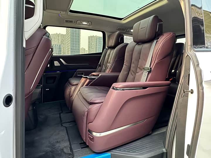 Фото 13 - Buick GL8 Century