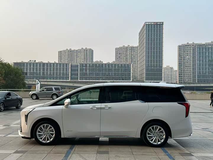 Фото 5 - Buick GL8 Century