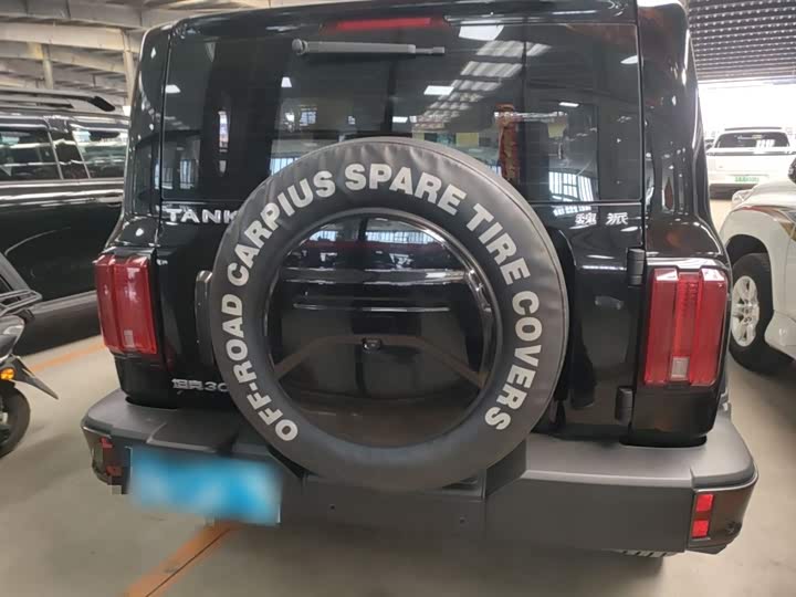 Фото 6 - Tank 300