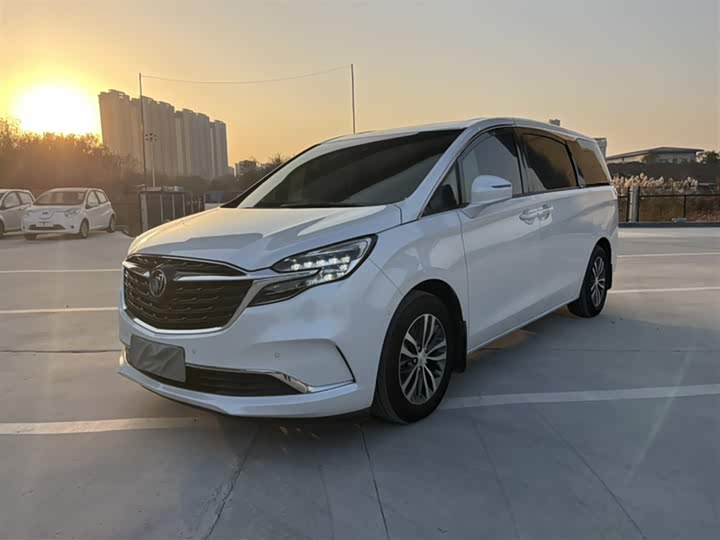 Фото 1 - Buick GL8 ES