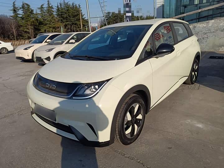 Фото 1 - BYD Dolphin