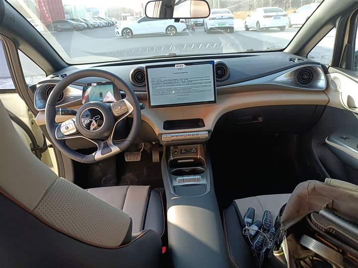 Фото 10 - BYD Dolphin