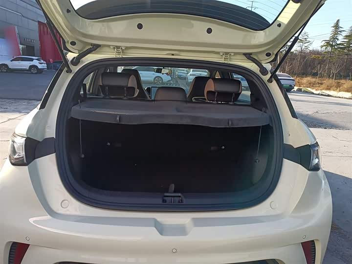 Фото 19 - BYD Dolphin