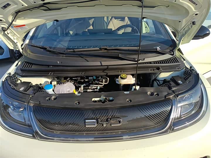 Фото 20 - BYD Dolphin