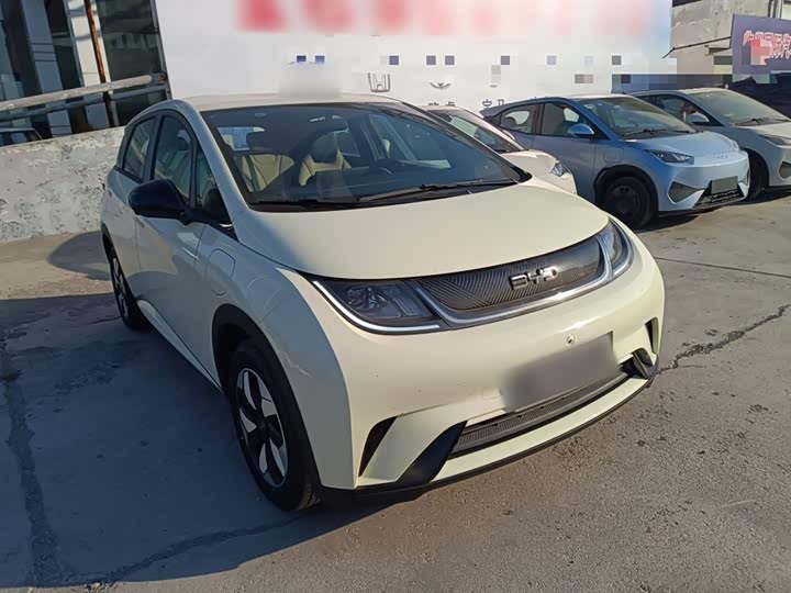 Фото 4 - BYD Dolphin