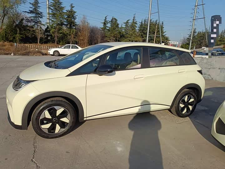 Фото 5 - BYD Dolphin