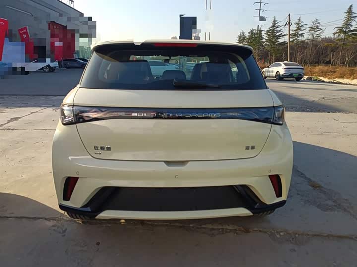 Фото 6 - BYD Dolphin