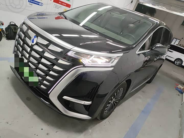 Фото 1 - Denza D9