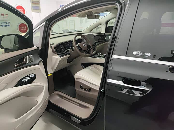 Фото 3 - Denza D9