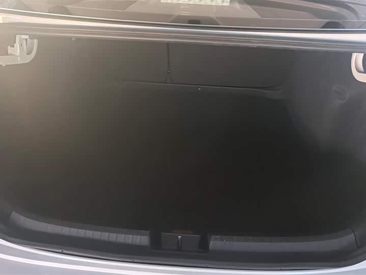 Фото 4 - Volkswagen Sagitar L