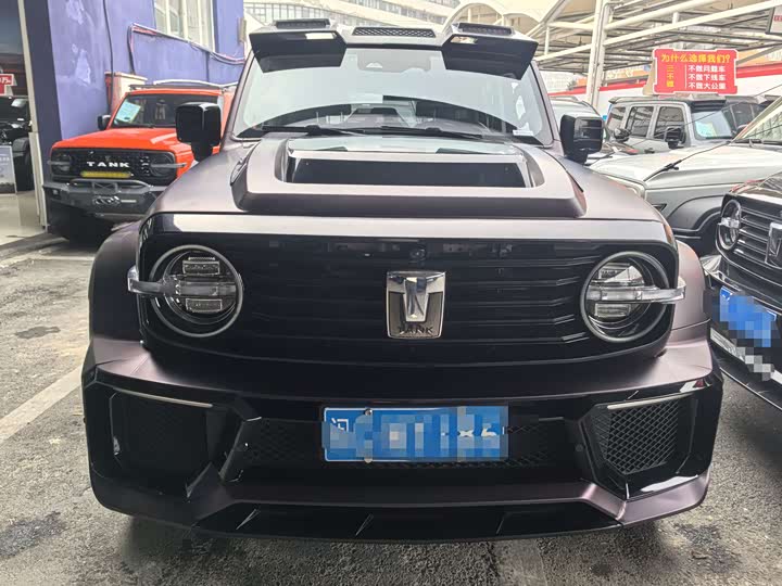 Фото 2 - Tank 300