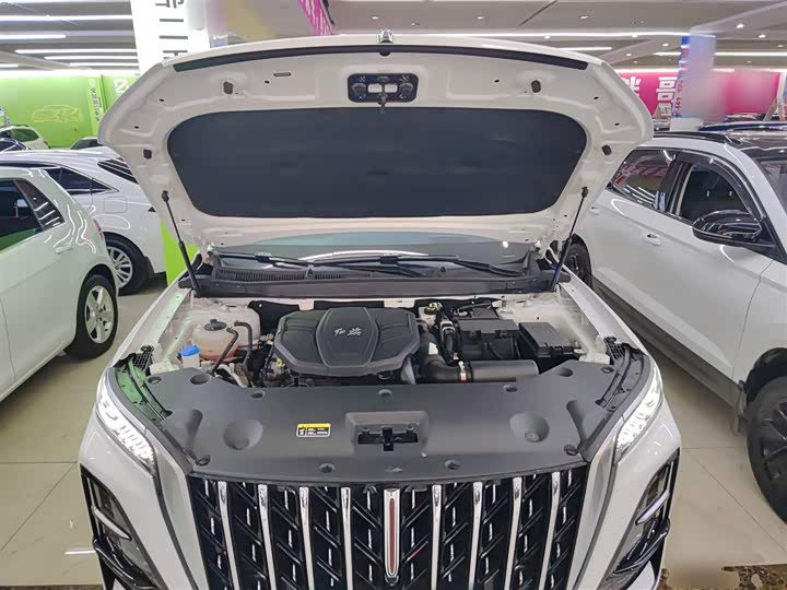 Фото 20 - Hongqi HS5