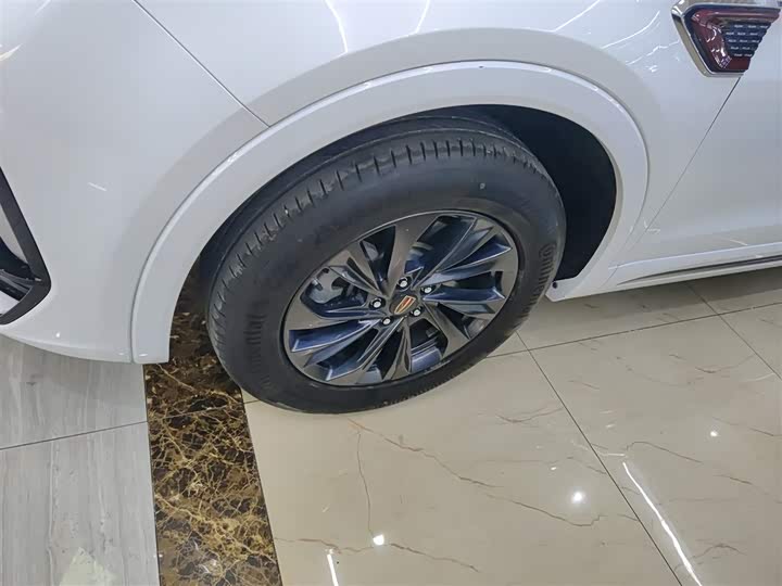 Фото 23 - Hongqi HS5