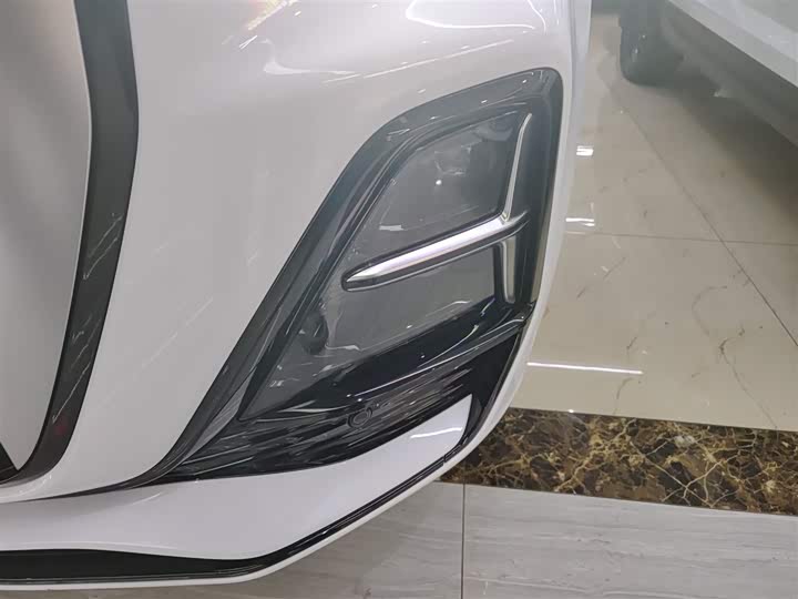 Фото 24 - Hongqi HS5