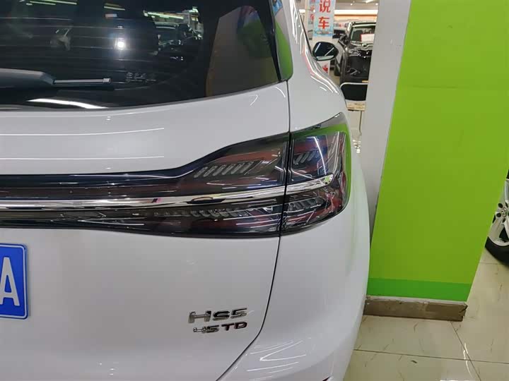 Фото 8 - Hongqi HS5