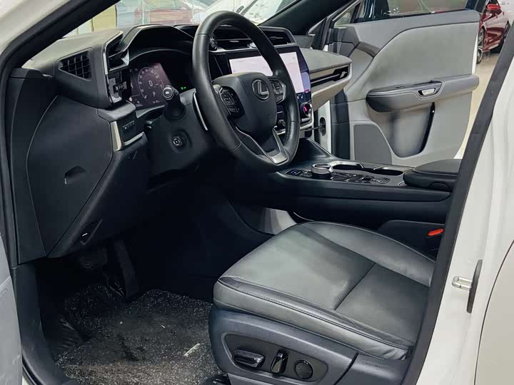 Фото 12 - Lexus RZ