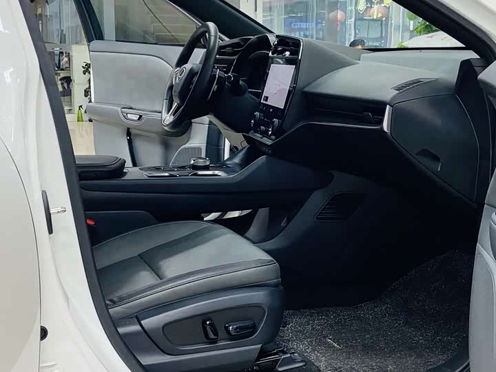 Фото 9 - Lexus RZ