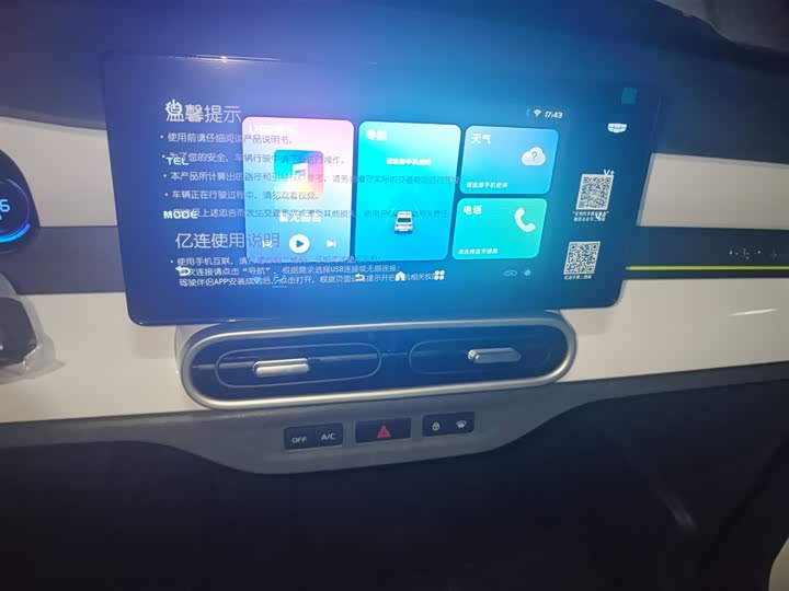 Фото 13 - Geely Galaxy Panda Mini