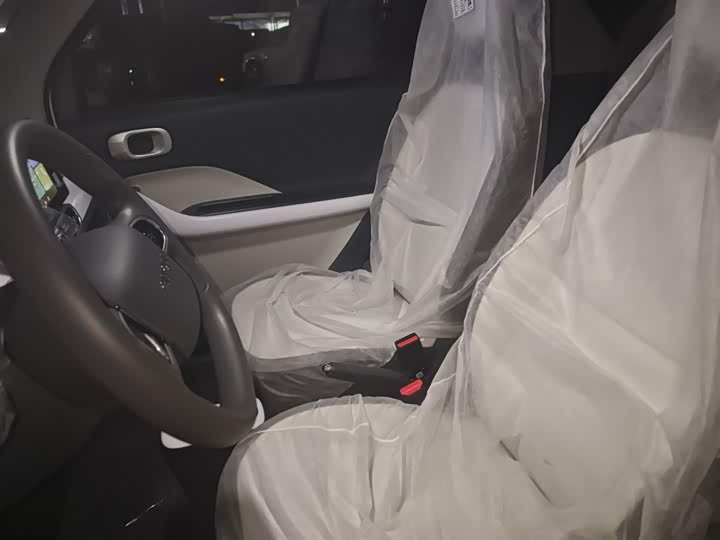 Фото 15 - Geely Galaxy Panda Mini