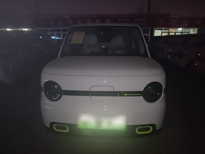 Фото 3 - Geely Galaxy Panda Mini