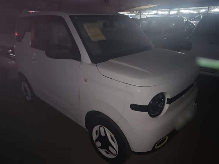 Фото 4 - Geely Galaxy Panda Mini