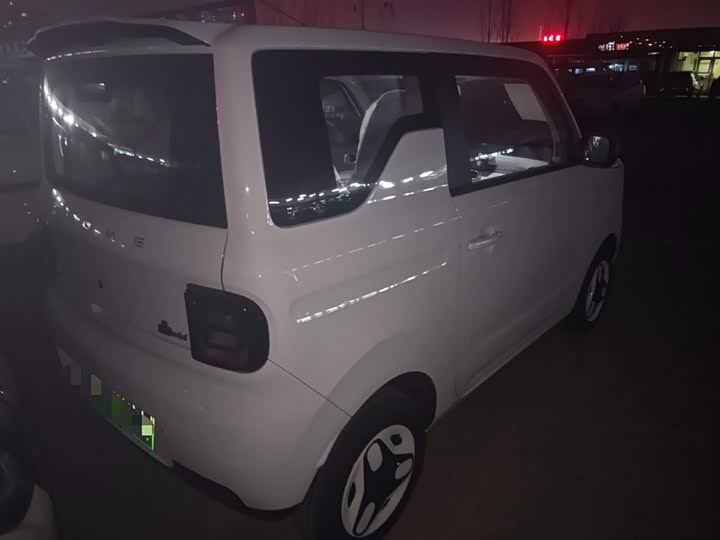Фото 7 - Geely Galaxy Panda Mini